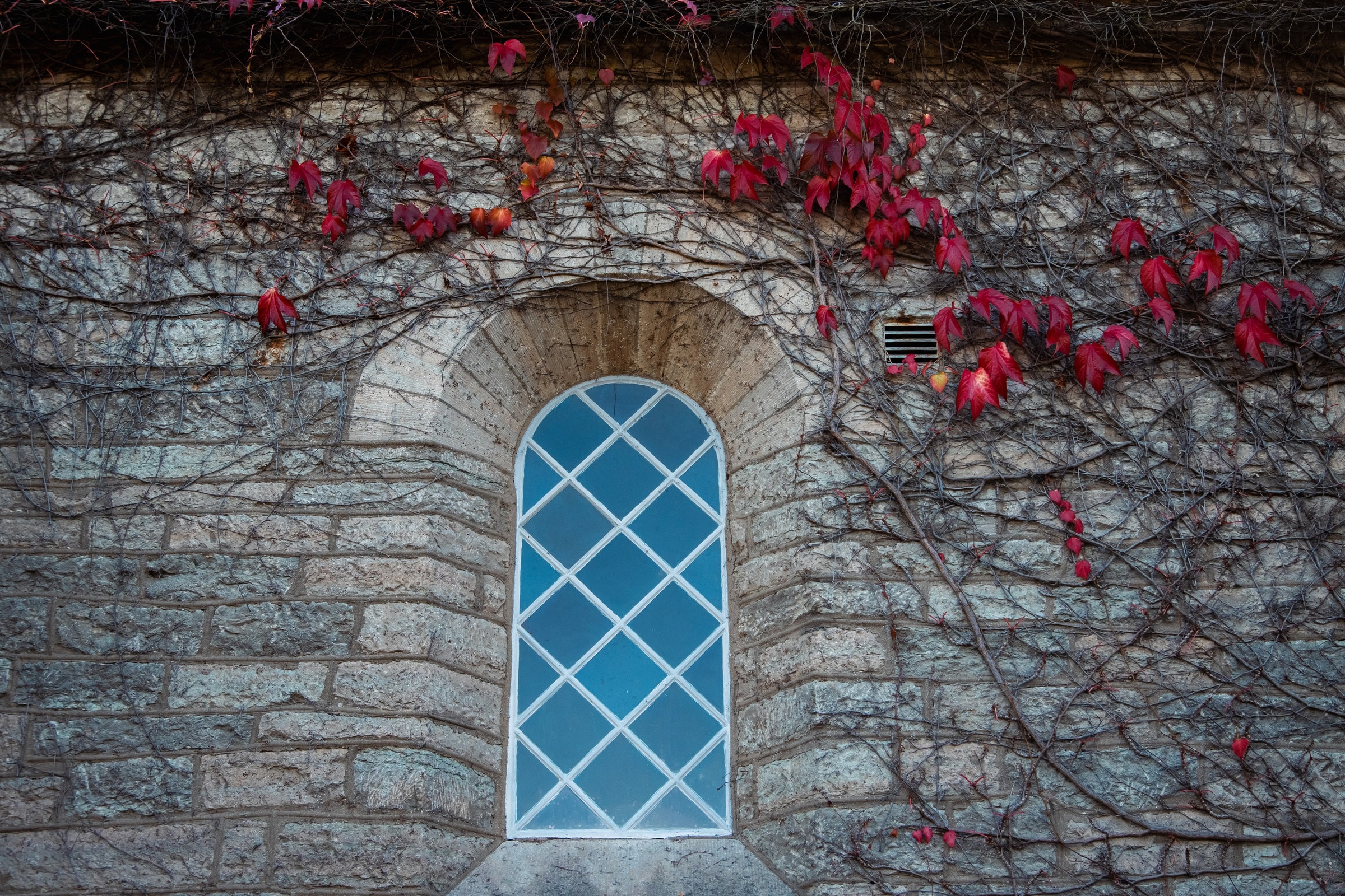 A vintage arched window on a stone wall with climbing ivy in Jönköping, Sweden.